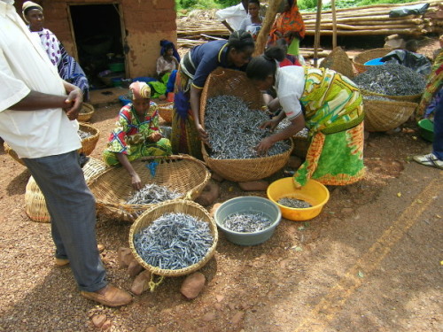 Bild Tanganyikasee Katonga Markt
